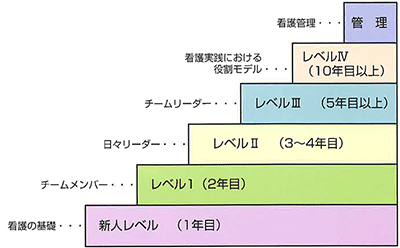 看護の基礎：新人レベル（1年目）、チームメンバー：レベル1（2年目）、日々リーダー：レベル2（3から4年目）、チームリーダー：レベル3（5年目以上）、看護実践における役割モデル：レベル4（10年目以上）、看護管理：管理